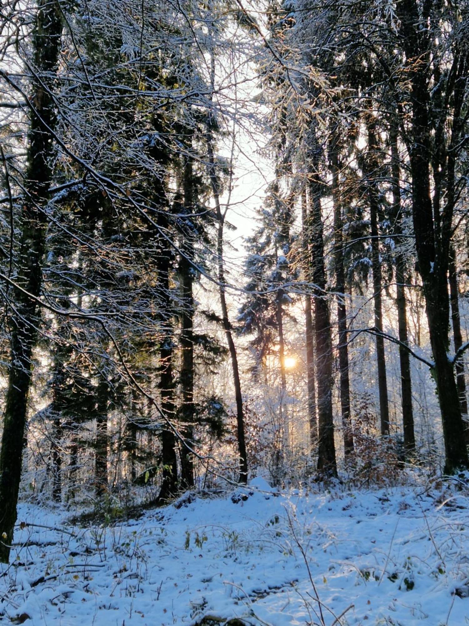 Villa Kunterbunt Härkingen Buitenkant foto