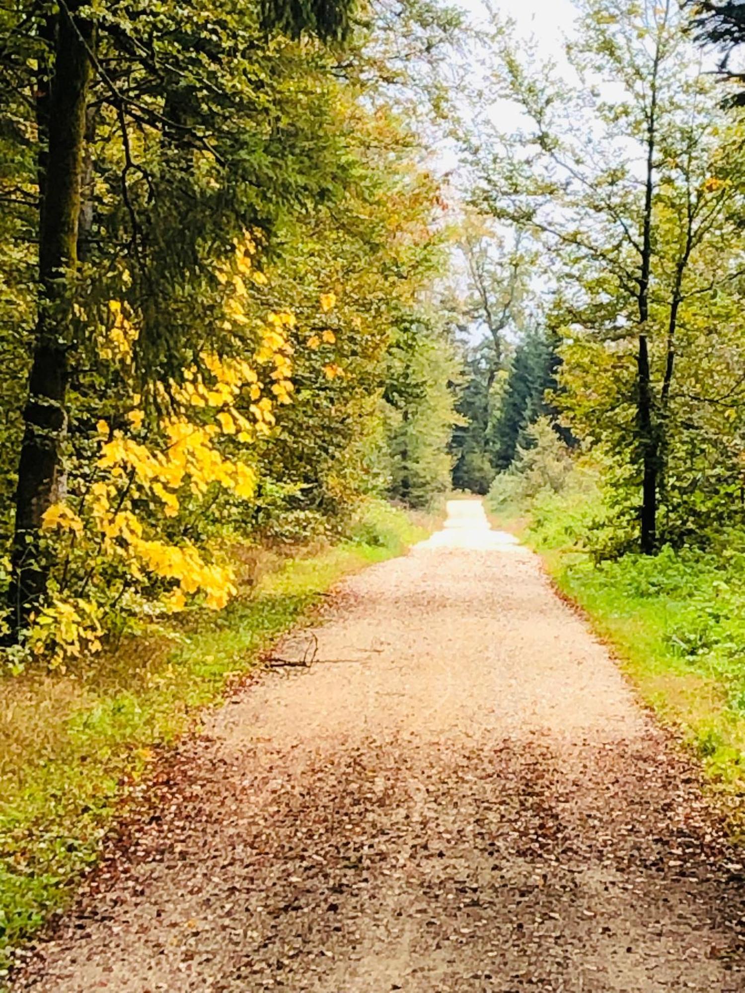 Villa Kunterbunt Härkingen Buitenkant foto
